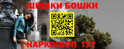 молекула духа Будённовск