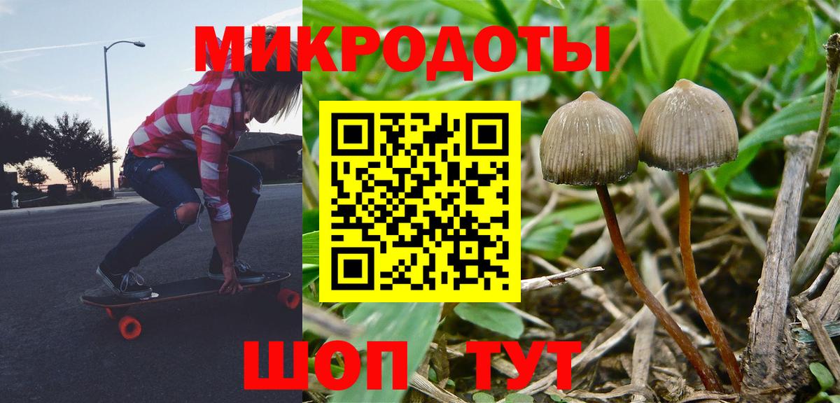 Галлюциногенные грибы GOLDEN TEACHER  Псилоцибиновые грибы прущие грибы  Новодвинск  Вход с VPN 